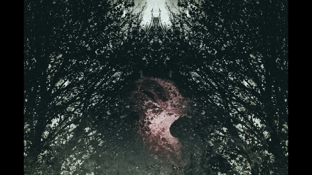 Watch bolus - (As Foretold) on YouTube Watch bolus - (As Foretold) on YouTube