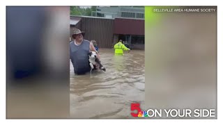 Dogs pulled from flooded St. Clair County Animal Services building, fosters needed