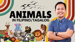Animals in English and Filipino/Tagalog || LEARN TAGALOG