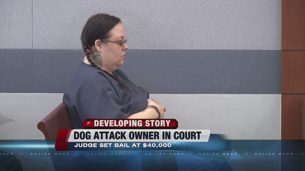 Bail set for woman accused in vicious dog attack - YouTube