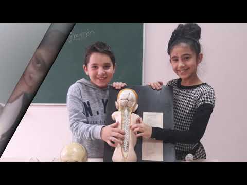 თბილისის N103 საჯარო სკოლა - გაკვეთილი თემაზე „ხერხემლიანი ცხოველები“