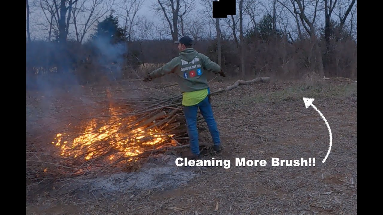 More Progress on Brush Clearing YouTube