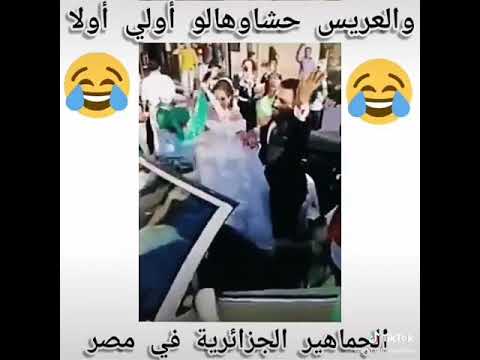 احتفال الجمهور الجزائري بعرس مصري لعريس حشاوهالو
