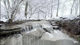 Ronald Jenkees – Clear Creek (Lower Pitch Version)