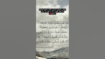 سورة البقرة 🫀#سورة_البقرة #تلاوة_خاشعة #قران_كريم #قرآن #تلاوة_هادئة #رمضان #ختم_القران #اسلام