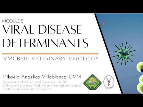 Video: D-vitamin-receptor ChIP-seq I Primære CD4 + -celler: Forhold Til Serum 25-hydroxyvitamin D-niveauer Og Autoimmun Sygdom