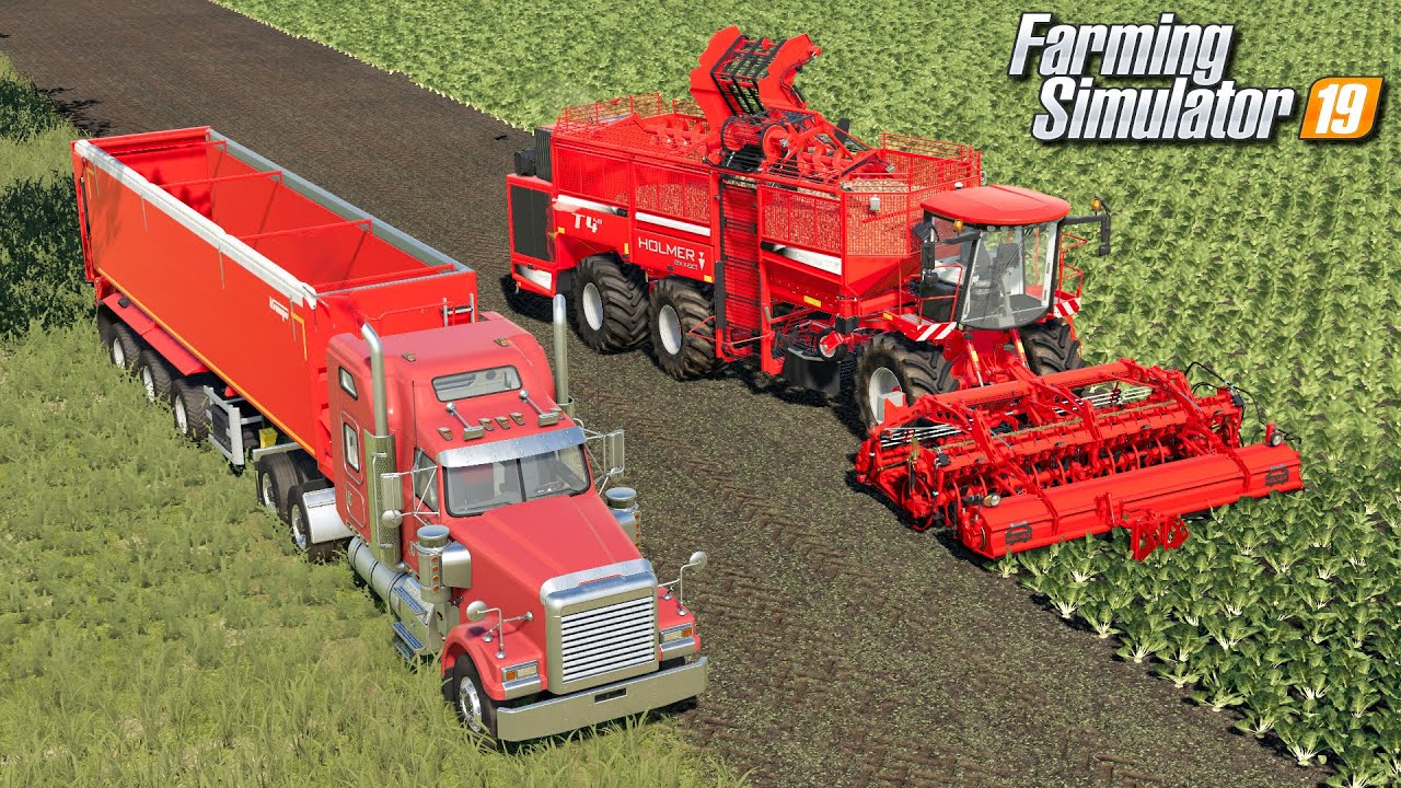 Zbiór buraka cukrowego - Farming Simulator 19 | #90
