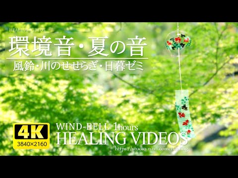 環境音・夏の音『風鈴・ひぐらしの鳴声・川のせせらぎ音』ASMR・Healing videos and natural sounds