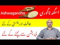 Health benefits of Ashwagandha | Asghand Kay Faiday | dr afzal