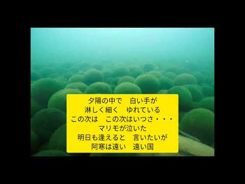 マリモが泣いた　佐々木新一　(歌詞字幕入り)