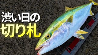 激渋の人工島 アタリがないときの「奥の手」はこれだ【ショアジギング】