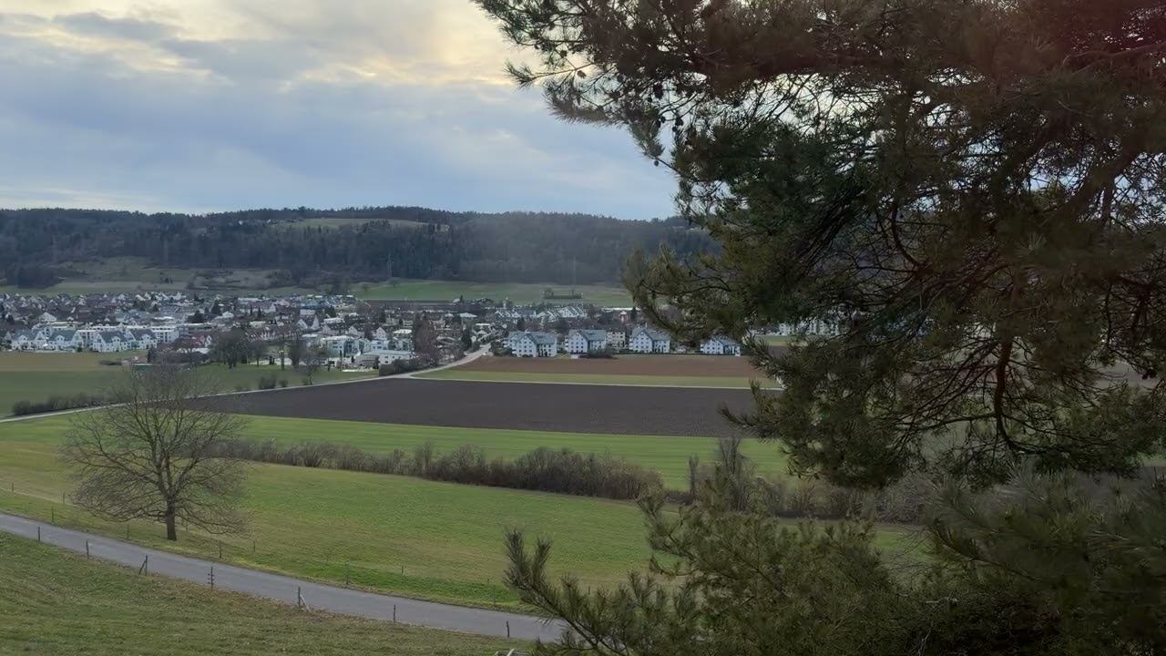 Behind the Window – Quiet Night Stillness | Switzerland