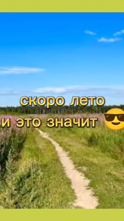 скоро лето и это значит... #лето #ждём #мем #палка #враги #речка #еда # ...
