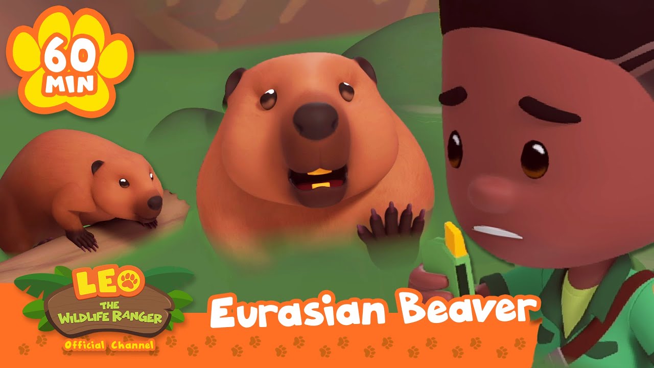 REBUILDING THE DAM! | Beavers, Otters & More River Animals | Leo the Wildlife Ranger | Kids Cartoons