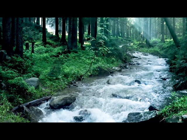 Beautiful Mountain River Flowing Sound. Forest River, Relaxing Nature Sounds/ Sleep/ Relax 10 hours. class=