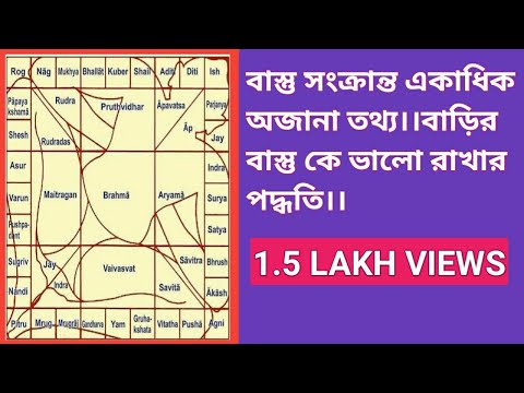 ভিডিও: চিলিয়ান দেগু কাঠবিড়ালি: বাড়িতে যত্ন, রক্ষণাবেক্ষণ