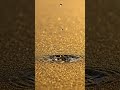 Water's gentle kiss on golden sand.#slowmotion #waterdrop #sand #nature #asmr #satisfying #macro