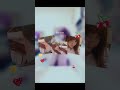 쉬멜 트랜스젠더 쉬멜나나 한국쉬멜 쉬멜영상 쉬멜 트랜스젠더 쉬멜나나 한국쉬멜 쉬멜영상