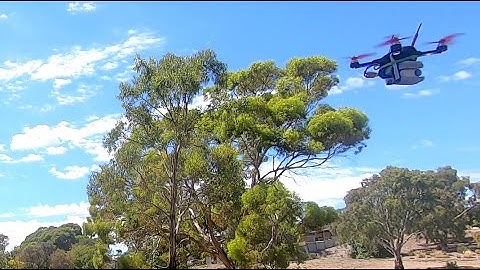 Insta360 GO2 Bugs3/EX2 mini - Park flight