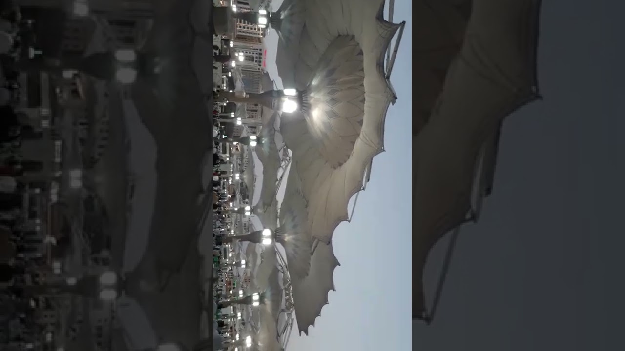 early morning in medina