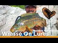 Wrasse Fishing on Lures with Robbie Northman - Savage Gear