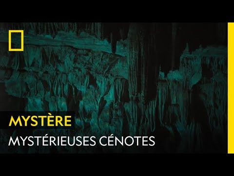 Vidéo: Des Photos Incroyables Des Cenotes Sous-marins D'un Autre Monde
