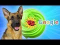 ВАУ!!! ЭРИКА ПРОТИВ GOOGLE! / СОБАКА ДЕЛАЕТ СЛАЙМ из случайных ингредиентов