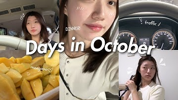 2 random days in October | job’s dinner, hairstyles, mango szn , go to uni, traffic, work