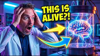 The Living Computer: Why the CIA is investing in Human Brain Cells