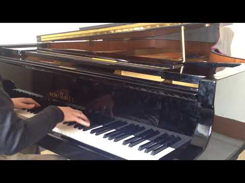 Alejandro Sanz Piano Cover Si Hay Dios Chopin Study