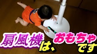 【扇風機はおもちゃです】赤ちゃんのおもちゃと化す！狙われた家電！破壊はされないだろう(と思う)