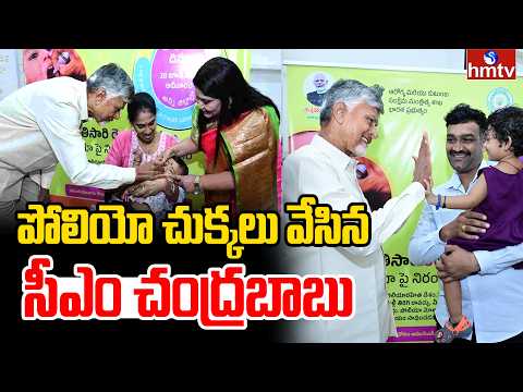 పోలియో చుక్కలు వేసిన సీఎం చంద్రబాబు |CM Chandrababu Administers Pulse Polio Drops To Children | hmtv - HMTVNEWS