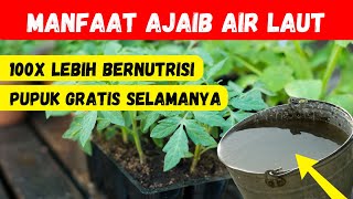 100𝐗 𝐋𝐄𝐁𝐈𝐇 𝐁𝐄𝐑𝐍𝐔𝐓𝐑𝐈𝐒𝐈.❗❗ 𝐌𝐀𝐍𝐅𝐀𝐀𝐓 𝐀𝐉𝐀𝐈𝐁 𝐀𝐈𝐑 𝐋𝐀𝐔𝐓 𝐔𝐍𝐓𝐔𝐊 𝐓𝐀𝐍𝐀𝐌𝐀𝐍 & 𝐂𝐀𝐑𝐀 𝐀𝐏𝐋𝐈𝐊𝐀𝐒𝐈║𝐆𝐑𝐀𝐓𝐈𝐒 & 𝐒𝐈𝐌𝐏𝐄𝐋