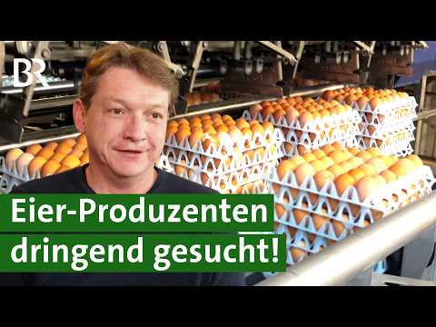 Eier aus Freilandhaltung boomen - ein lukraktives Geschäft für Landwirte? | Unser Land | BR