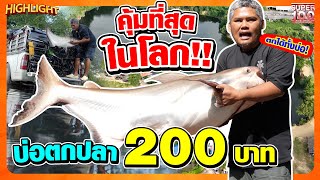 บ่อป้าวนใจถึง  ตกปลาที่คุ้มที่สุดในโลก จ่าย200 ได้ยันบึก จี๊ดคืนกำไรให้นักตกปลา HIGHLIGHT | SUPER100