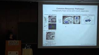 Interfacing with the Brain |DBS for Depression - Prof. Helen Mayberg