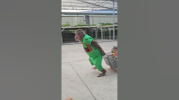 Kuku And Su Returns Home After The Mission 