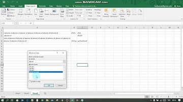 excel sayfa çoğaltma - move or copy