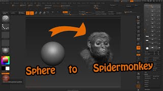 Spider Monkey screenshot 5