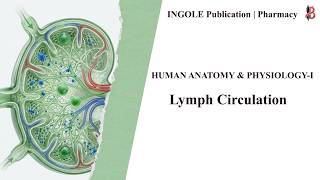 Lymph Circulation | Human Anatomy &amp; Physiology-I | B.Pharm | D.Pharm