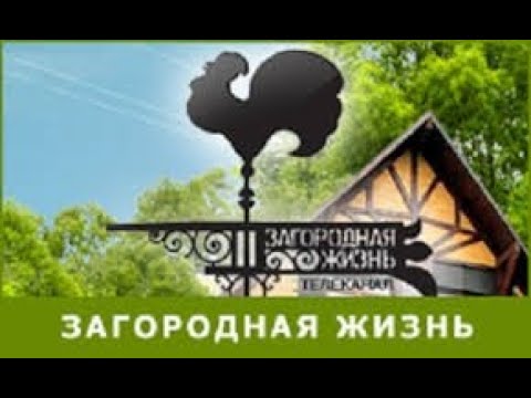 Канал загородная жизнь с нуля