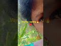 varthai onru #love #song #arrahman #music #subscribe #vaddanamdesignswithweightandprice #comedy
