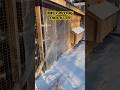 Winter Proofing Chicken Coop #chickencoop #diy #chickens #turkeys #ducks #homestead #farm #winter