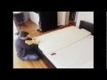 IKEA BRIMMES Super King Size Bed Part 2