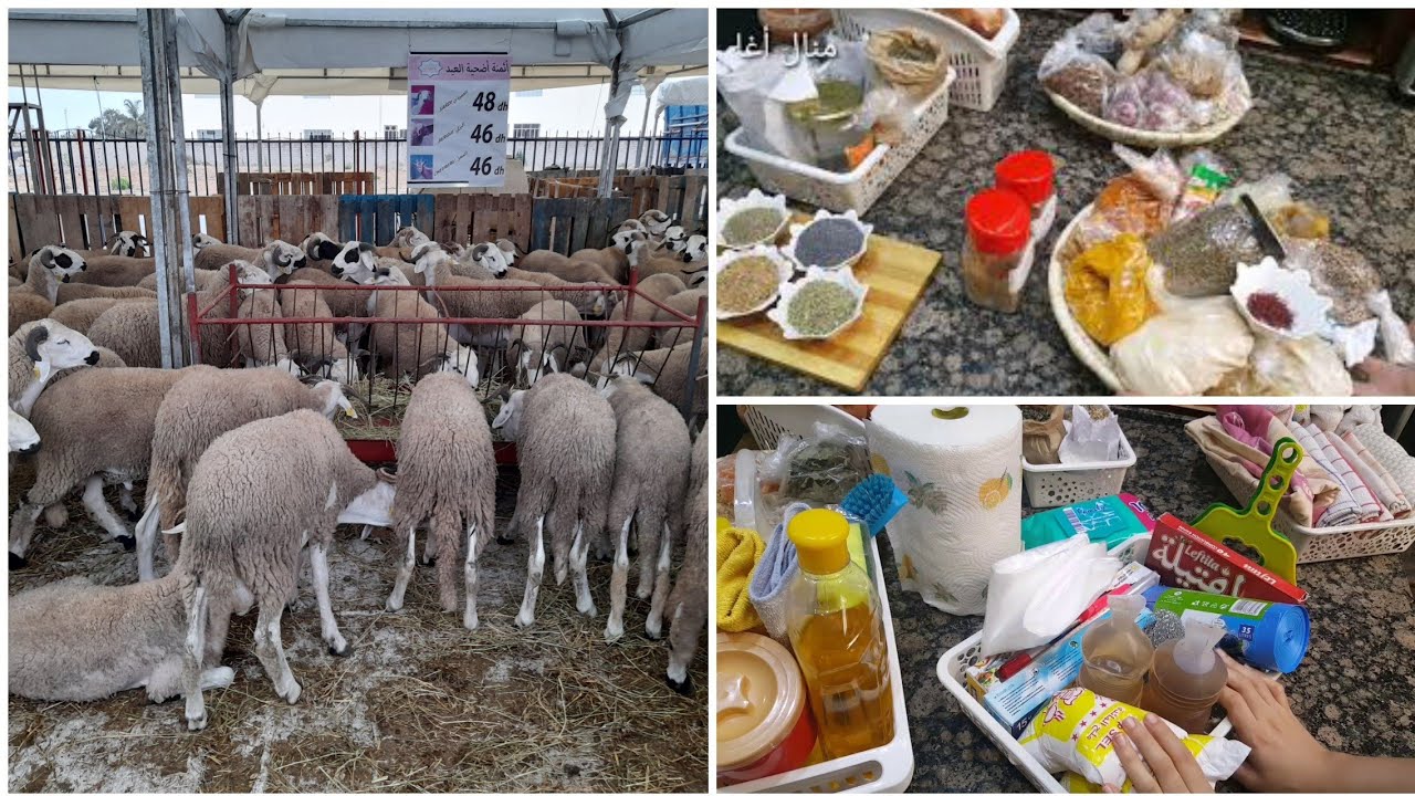 🐏تحضيرات #عيد الاضحى#🐏تجهيز مسبق للتقدية الاساسية+لائحة مشتريات مع نصائح ذهبية غتسهل عليك التسوق