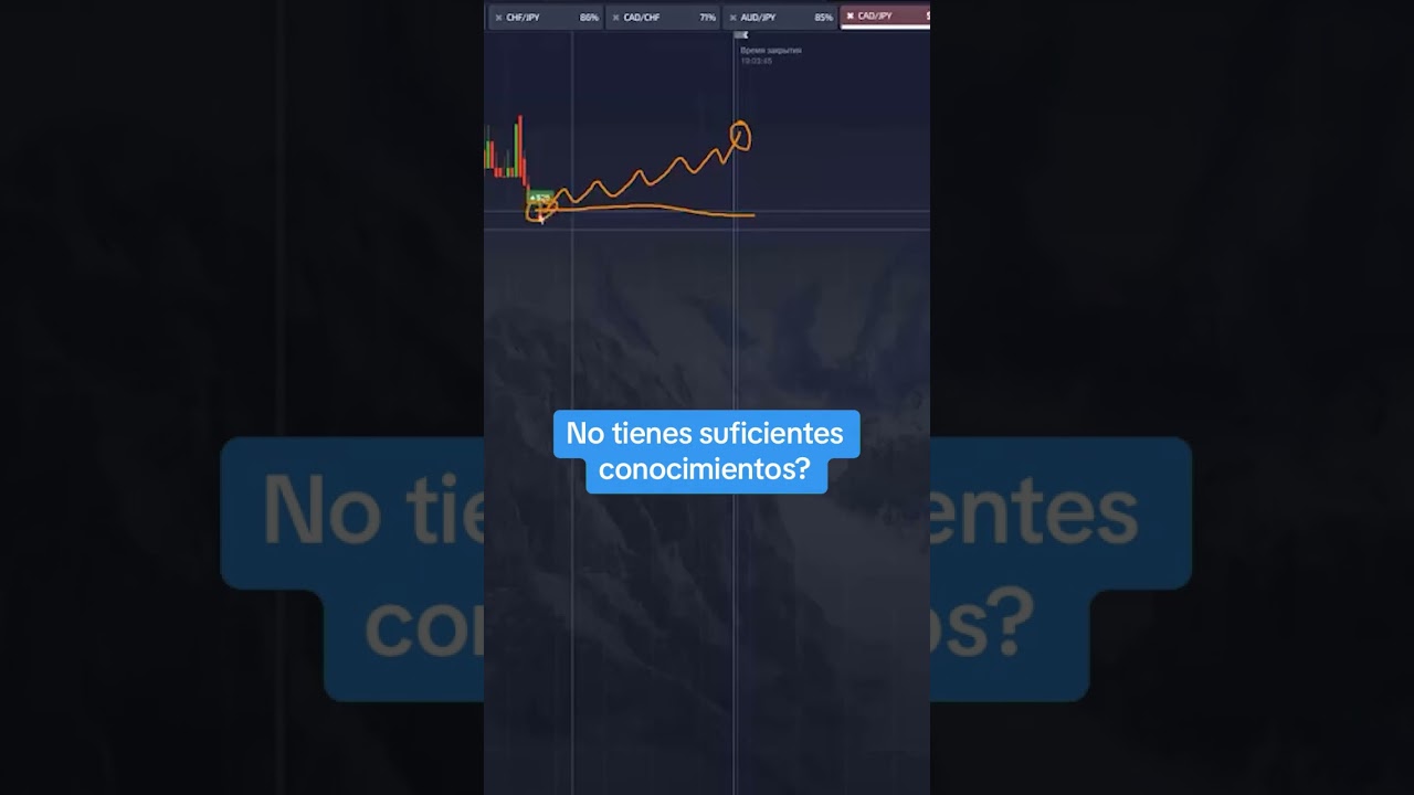 Descubra más flujo de caja.