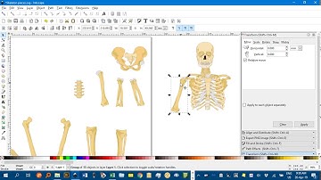 Skeleton assembly