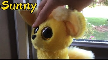 All Of My Beanie Boo Customs!