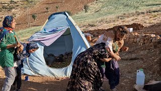 Brutal Assault by Husband on Nomadic Woman Leads to Tragic Consequences