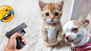 Best Funny Dogs and Cats Videos😹🐶Funniest Animal videos 2024😍Part 9